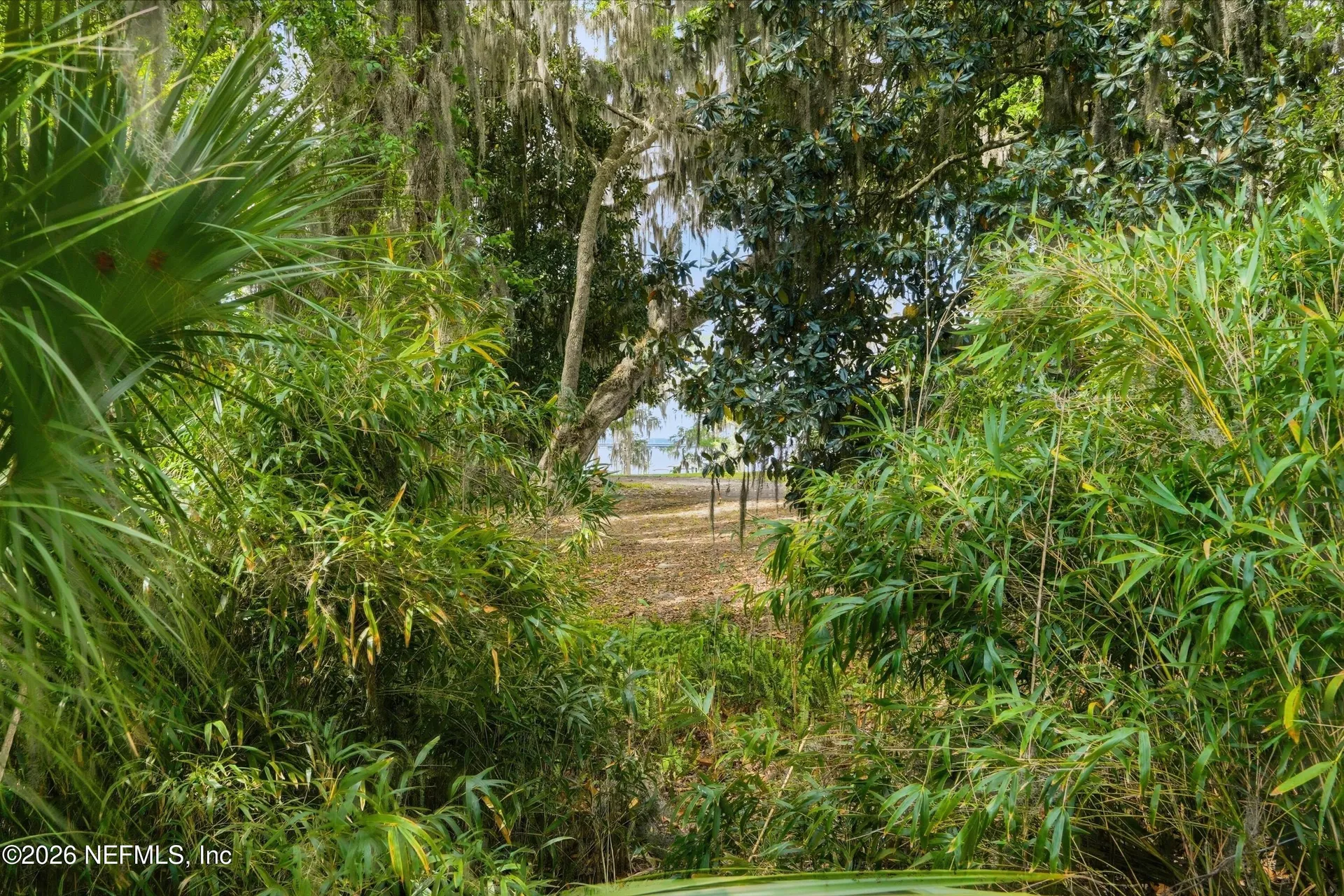 2710 Cove View Drive N Jacksonville FL 32257