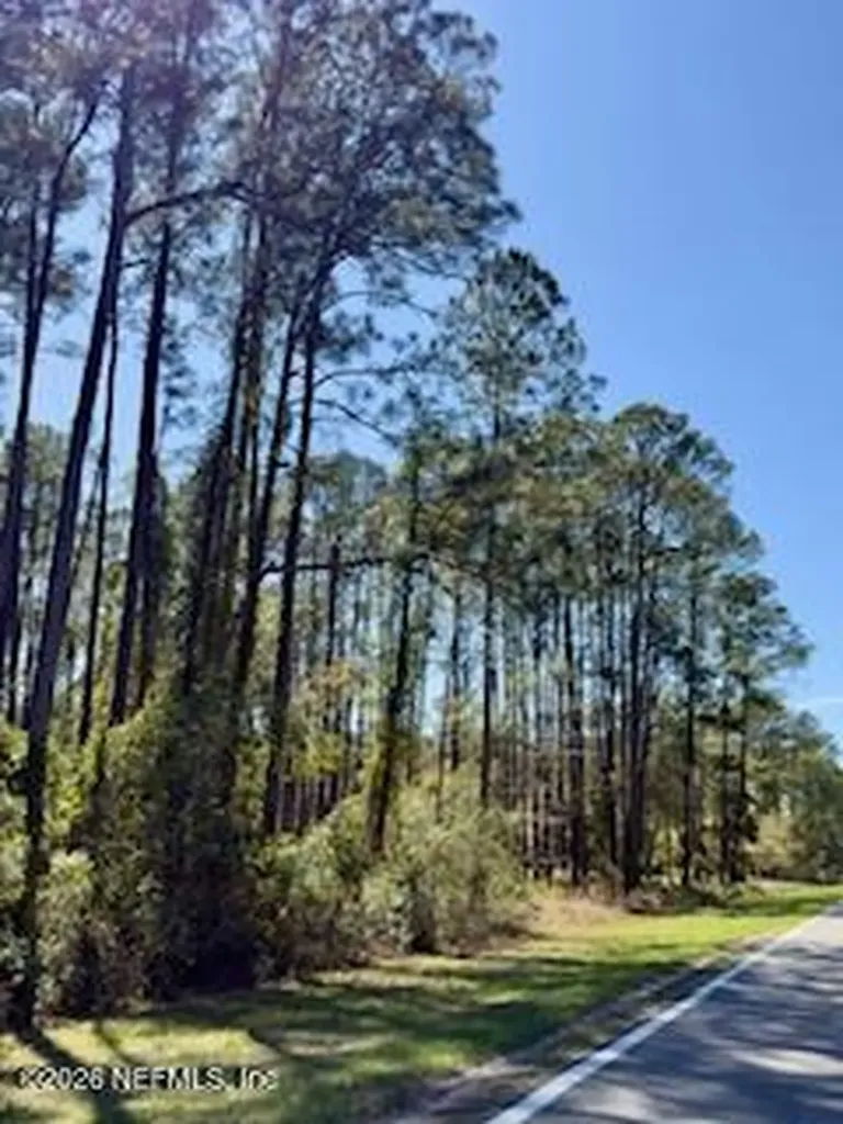251 Georgetown Denver Road Georgetown FL 32139