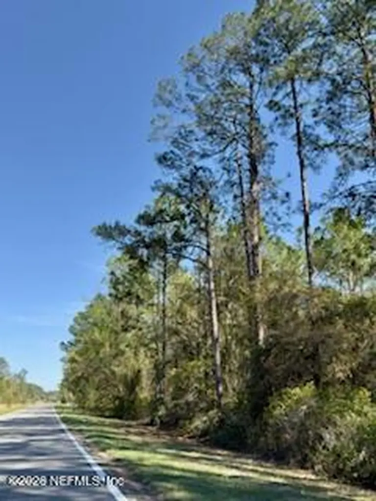 251 Georgetown Denver Road Georgetown FL 32139