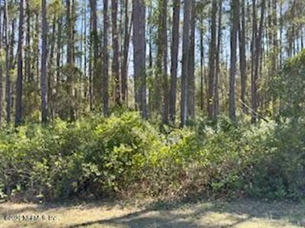 251 Georgetown Denver Road Georgetown FL 32139