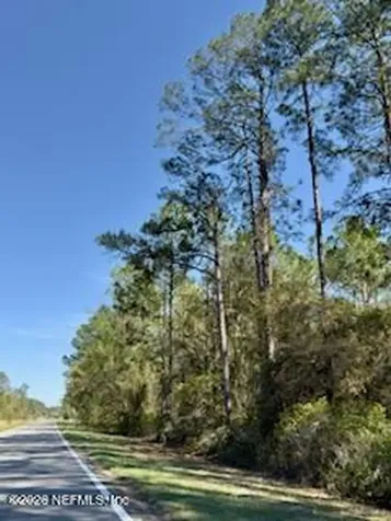 251 Georgetown Denver Road Georgetown FL 32139