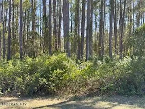 251 Georgetown Denver Road Georgetown FL 32139