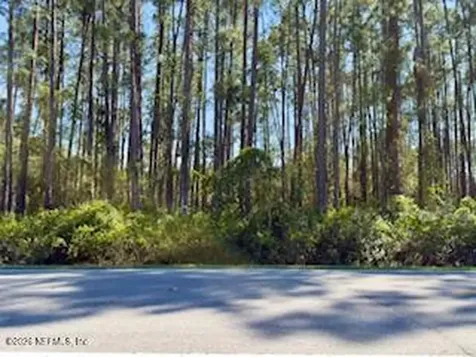 251 Georgetown Denver Road Georgetown FL 32139