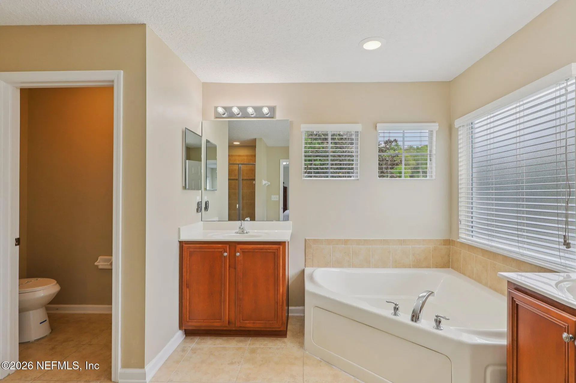 3362 Turkey Creek Drive Green Cove Springs FL 32043