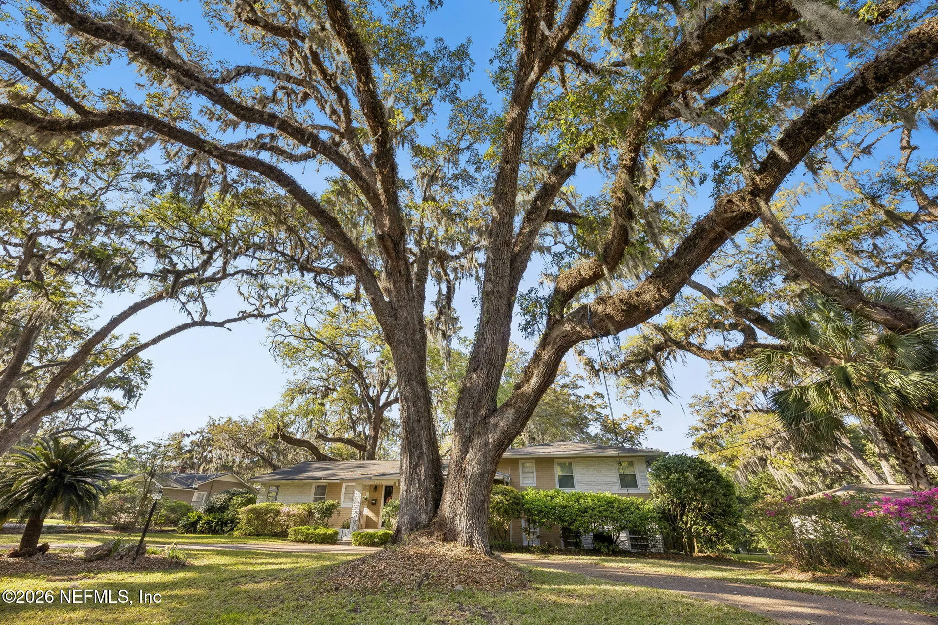 4226 Forest Park Road Jacksonville FL 32210