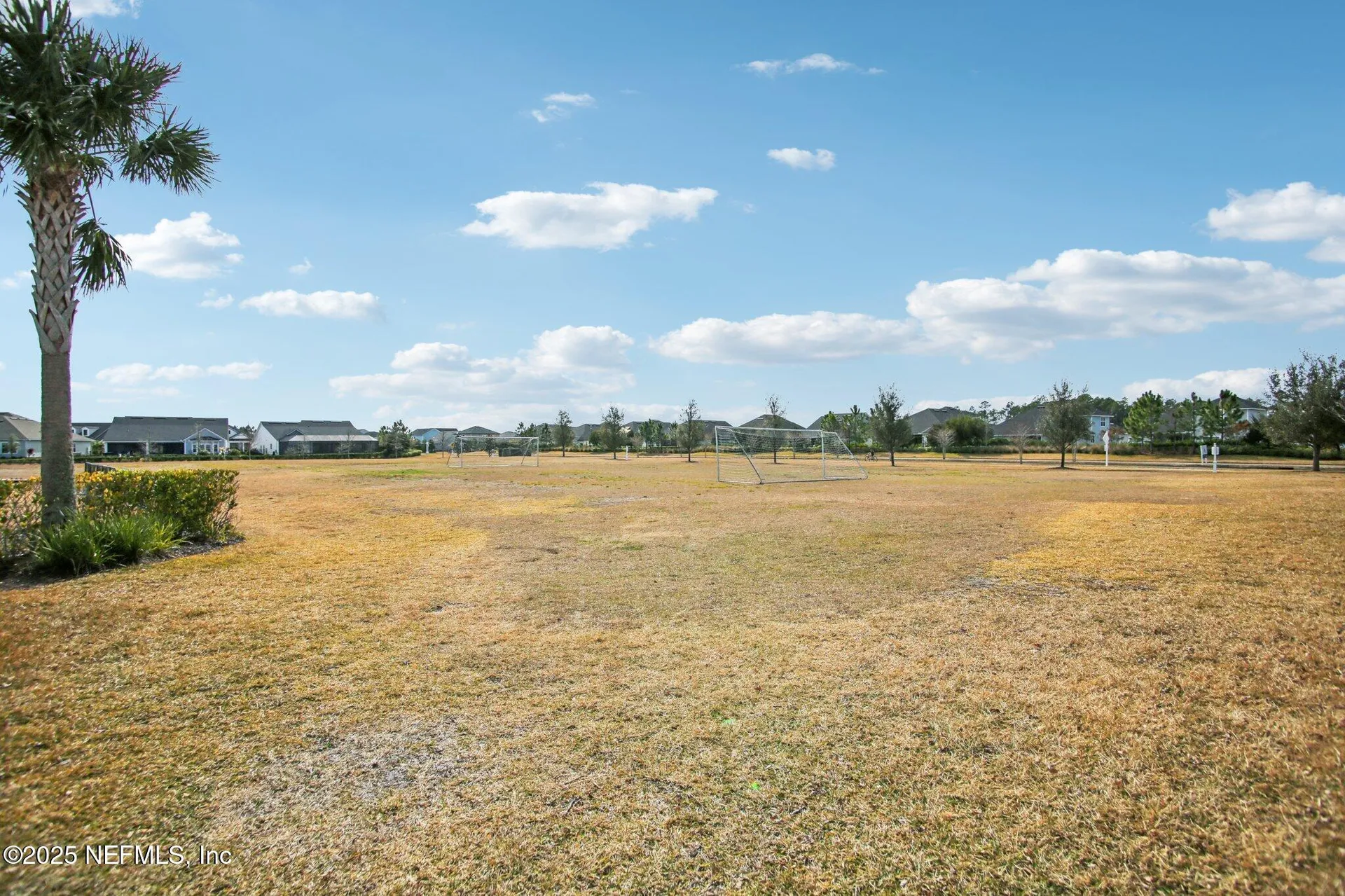 456 Stargaze Lane St. Augustine FL 32095