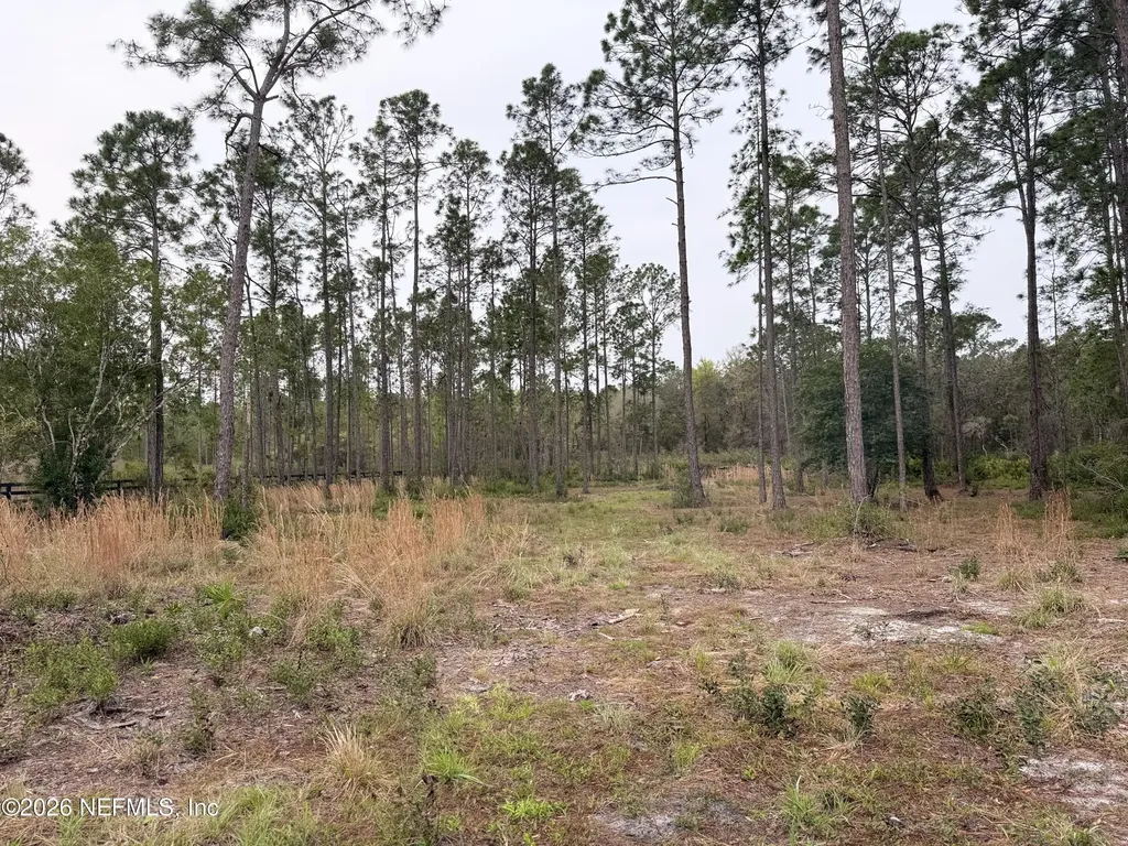 519 5th Street Satsuma FL 32189