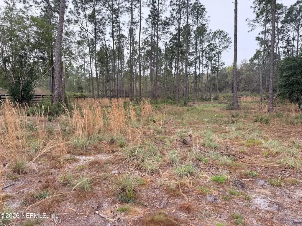 519 5th Street Satsuma FL 32189