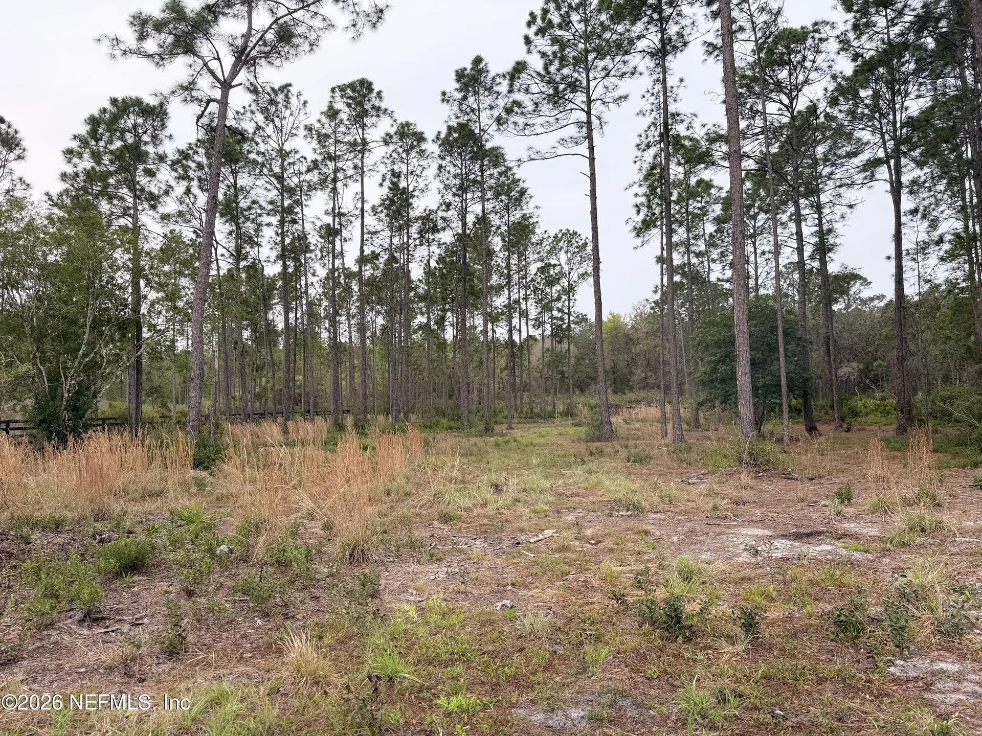 519 5th Street Satsuma FL 32189