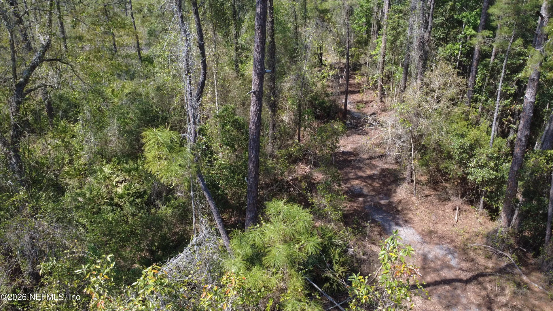 113 Seminole Place Satsuma FL 32189