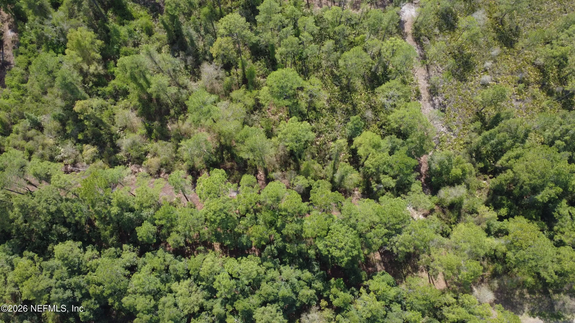 113 Seminole Place Satsuma FL 32189