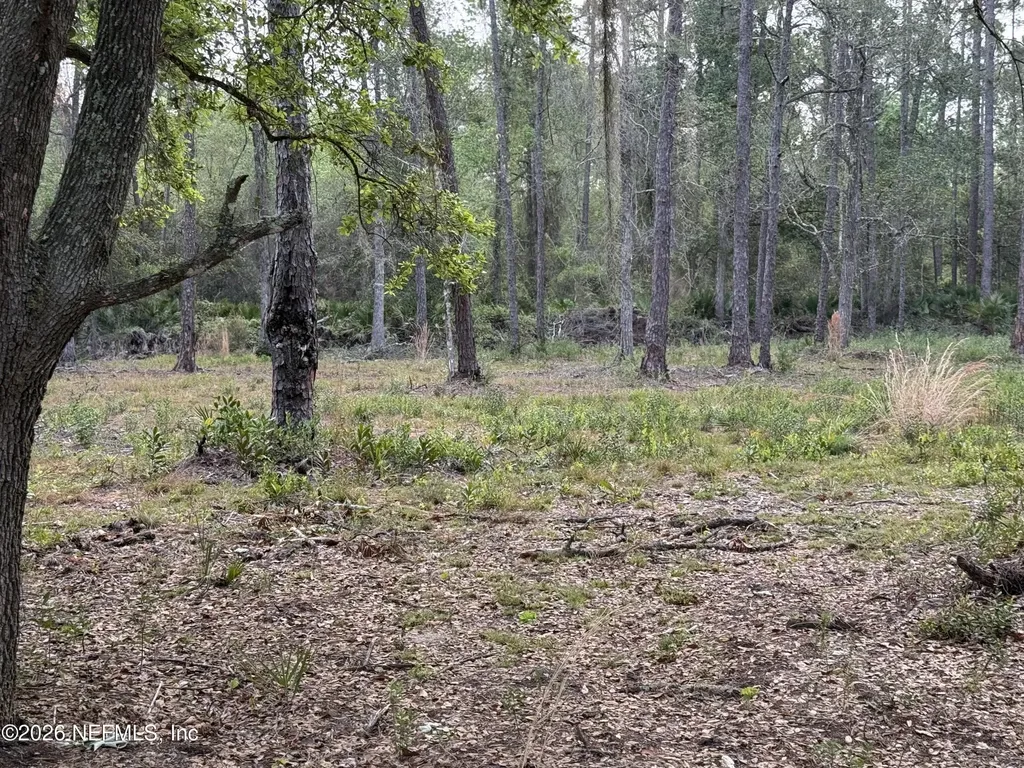 178 Sumter Road Satsuma FL 32189