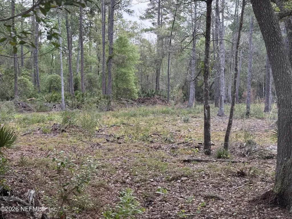 178 Sumter Road Satsuma FL 32189