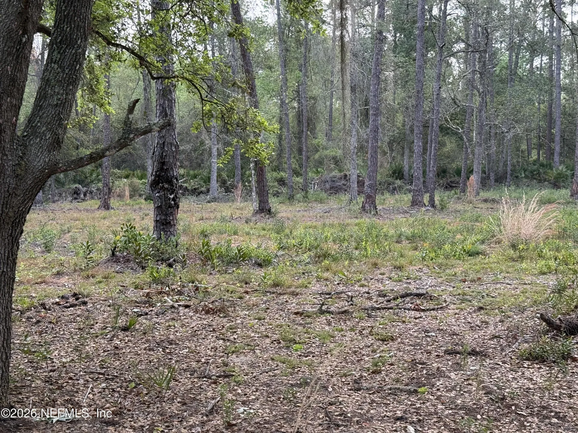 178 Sumter Road Satsuma FL 32189