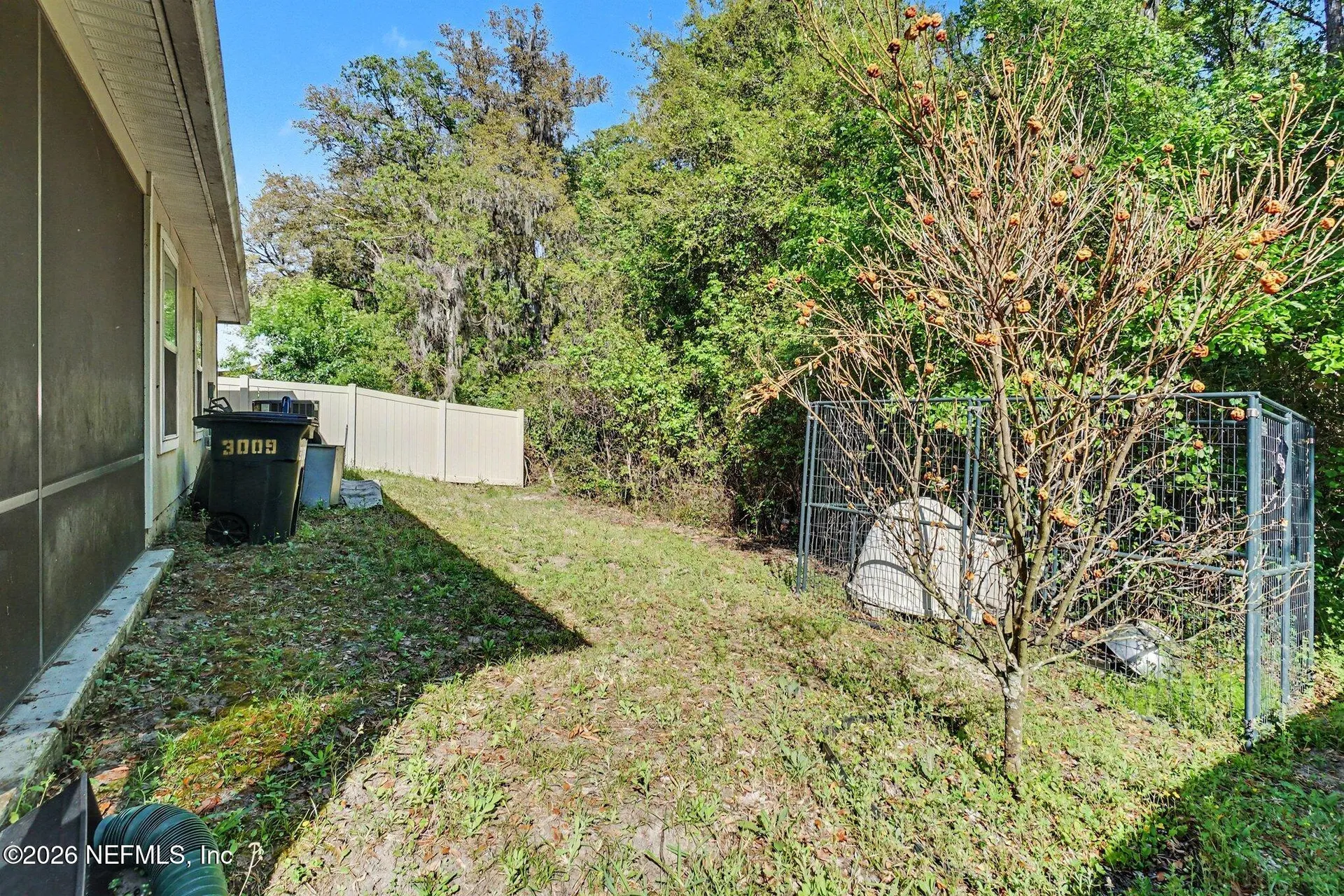 3009 Firethorn Avenue Orange Park FL 32073