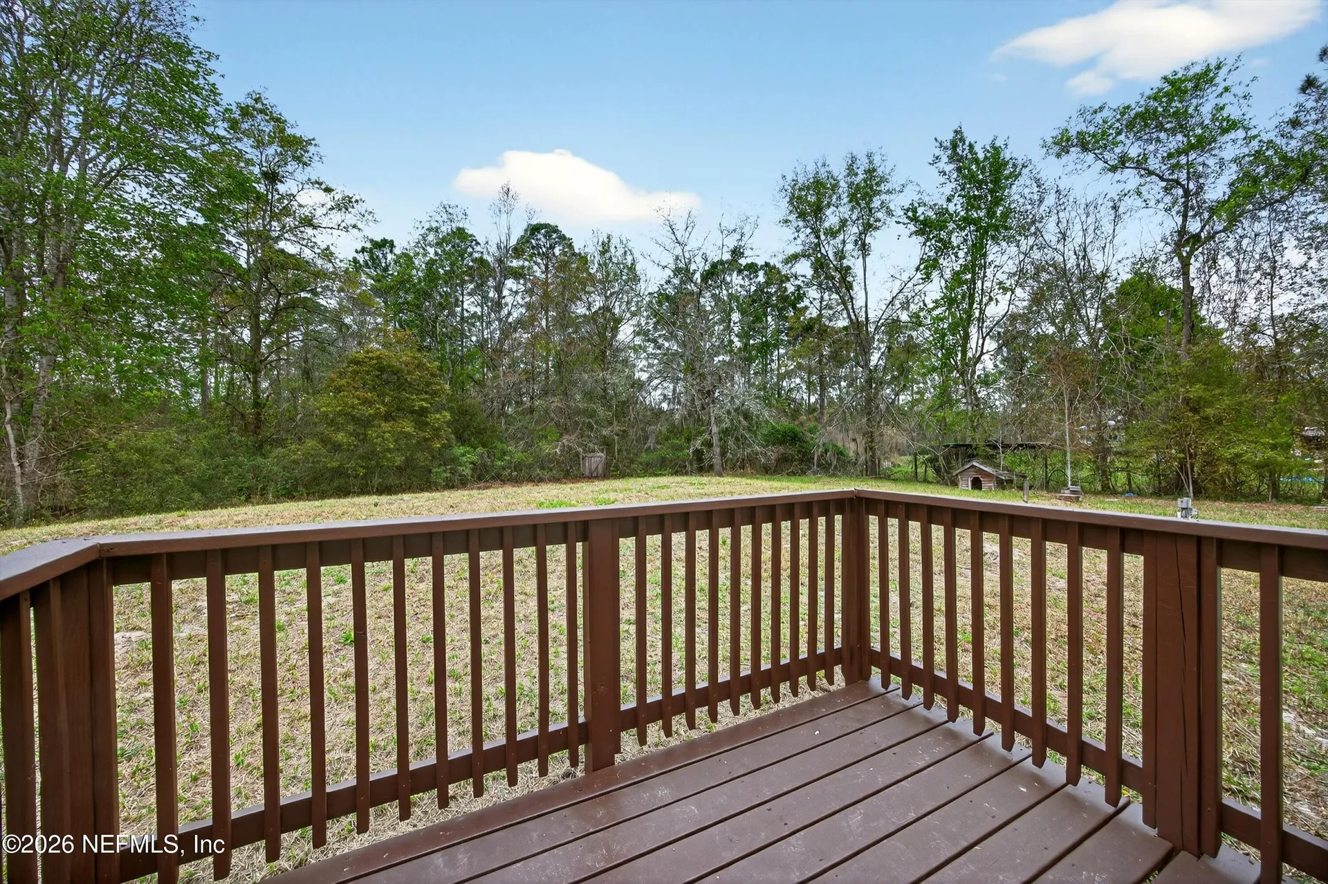 2210 Hibiscus Avenue Middleburg FL 32068