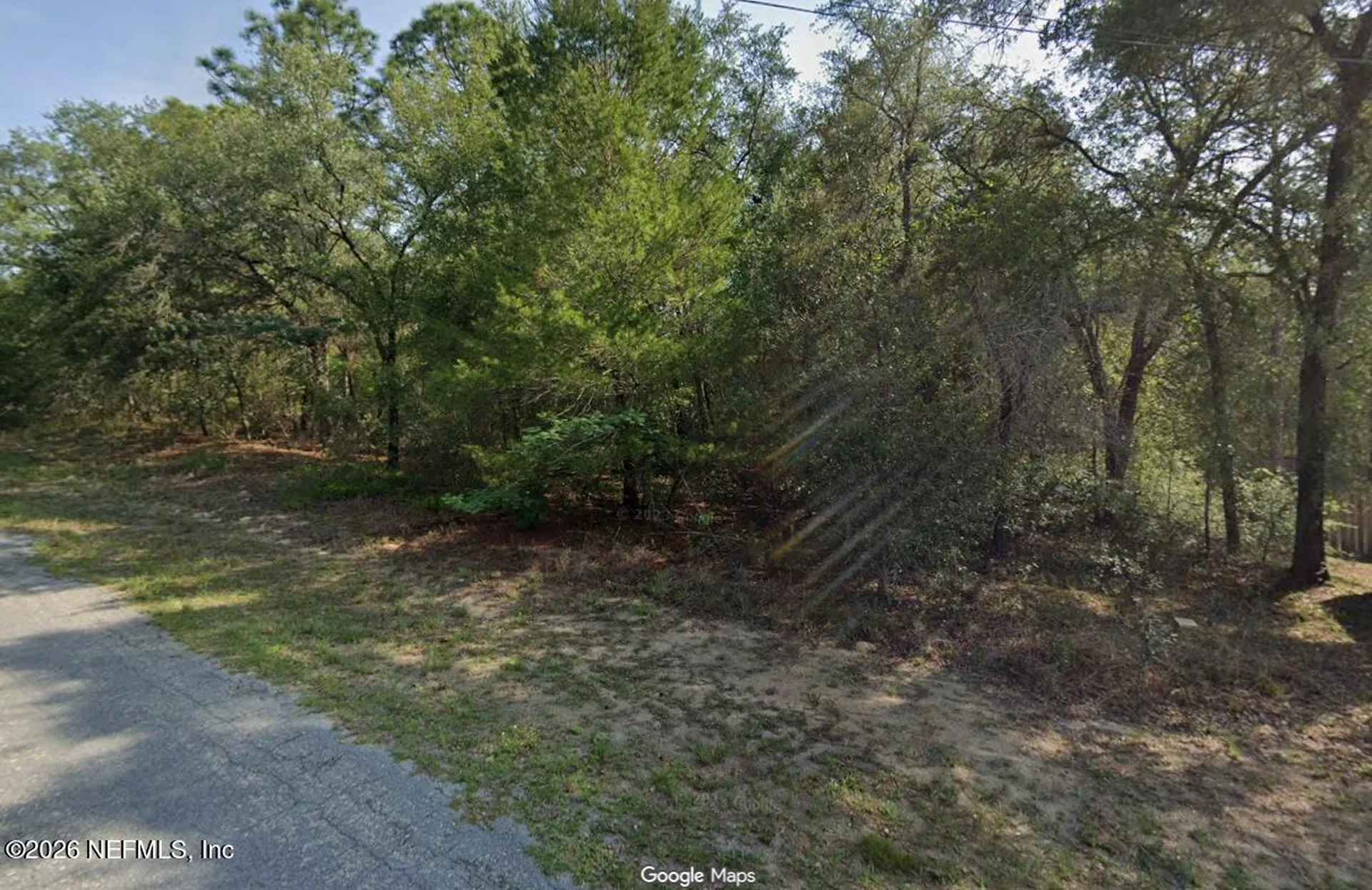 7919 N Vince Drive Citrus Springs FL 34434