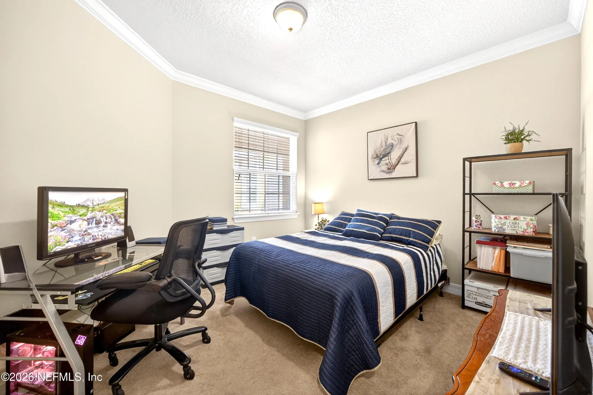 11804 Surfbird Circle Jacksonville FL 32256