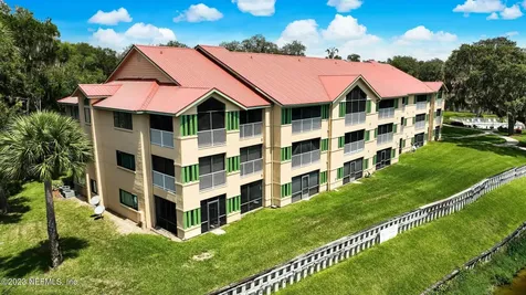 99 Broad River Place Welaka FL 32193
