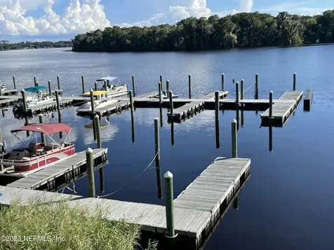 99 Broad River Place Welaka FL 32193