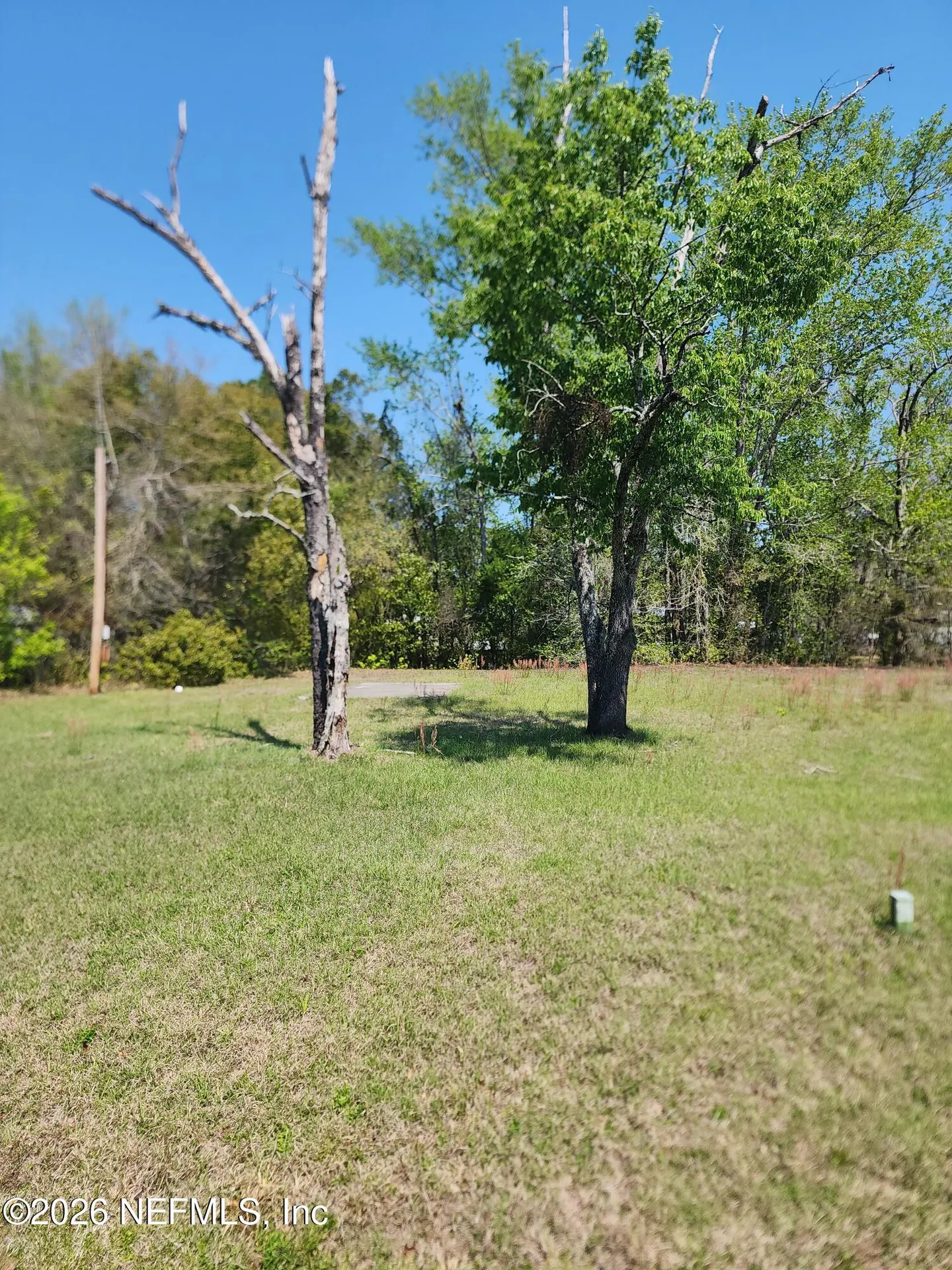 118 Basin Drive Palatka FL 32177