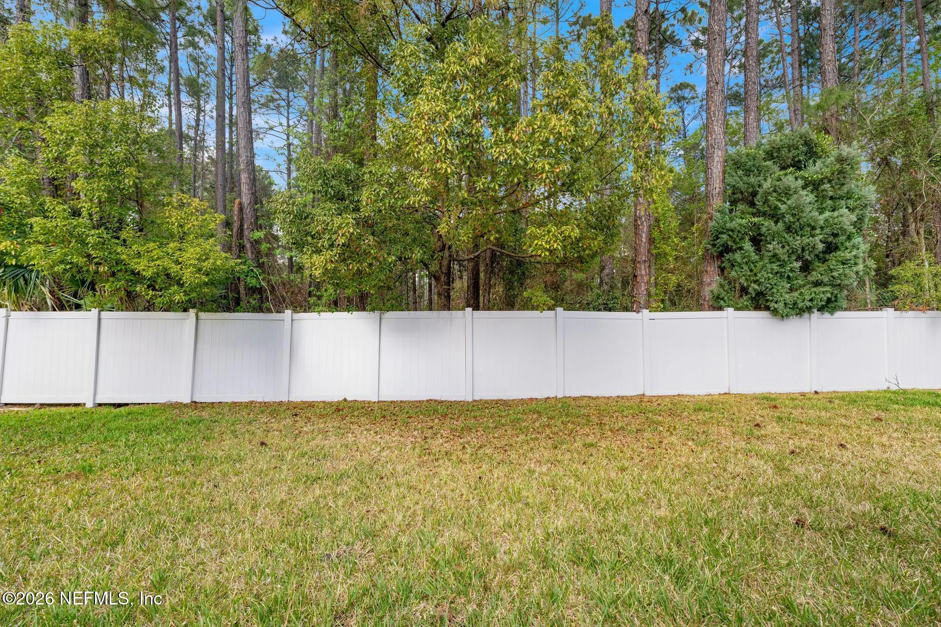 16198 Blossom Lake Drive Jacksonville FL 32218