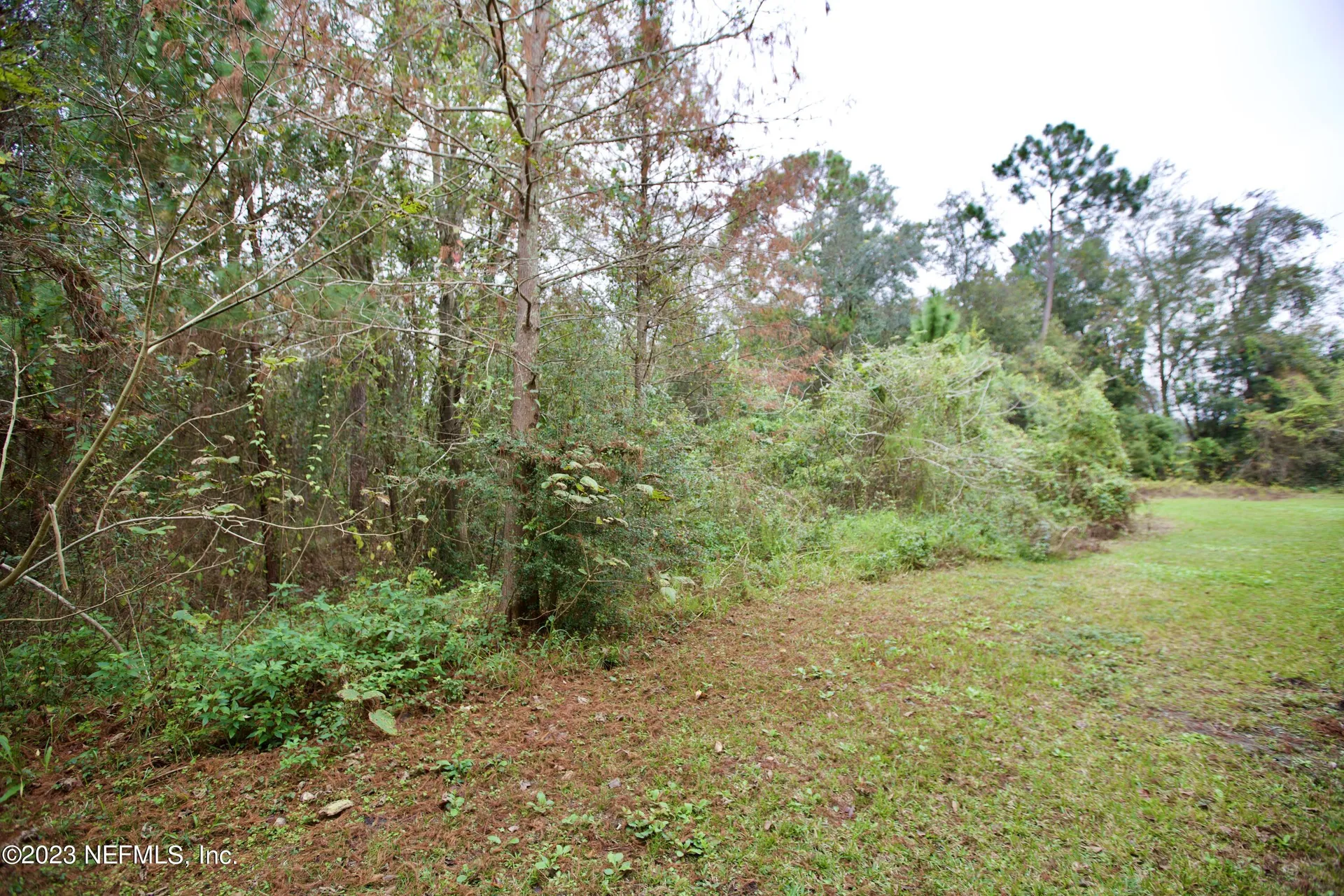 3600 Lenin Peak Court Jacksonville FL 32210