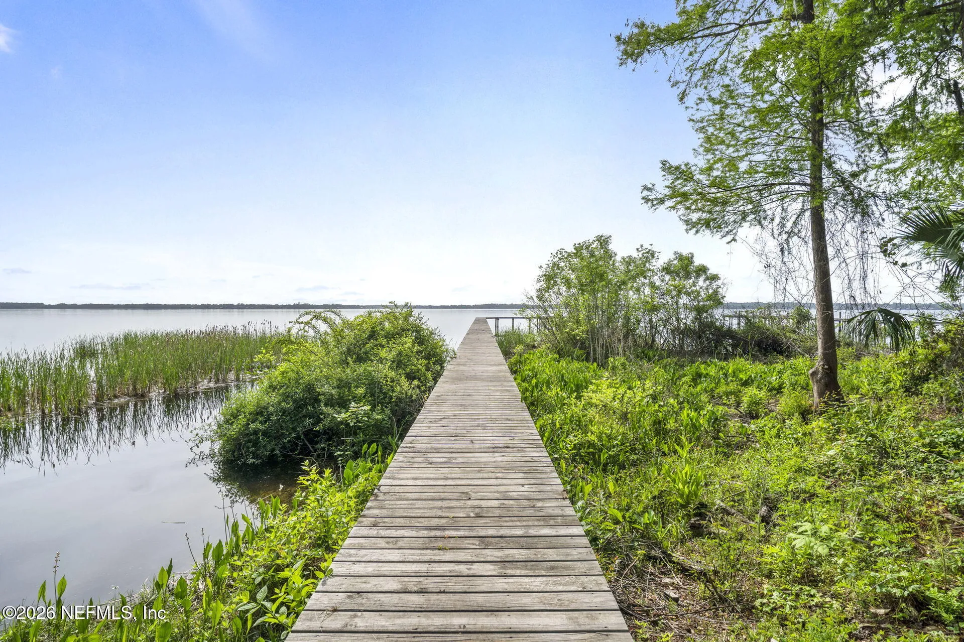 3175 Doctors Lake Drive Orange Park FL 32073