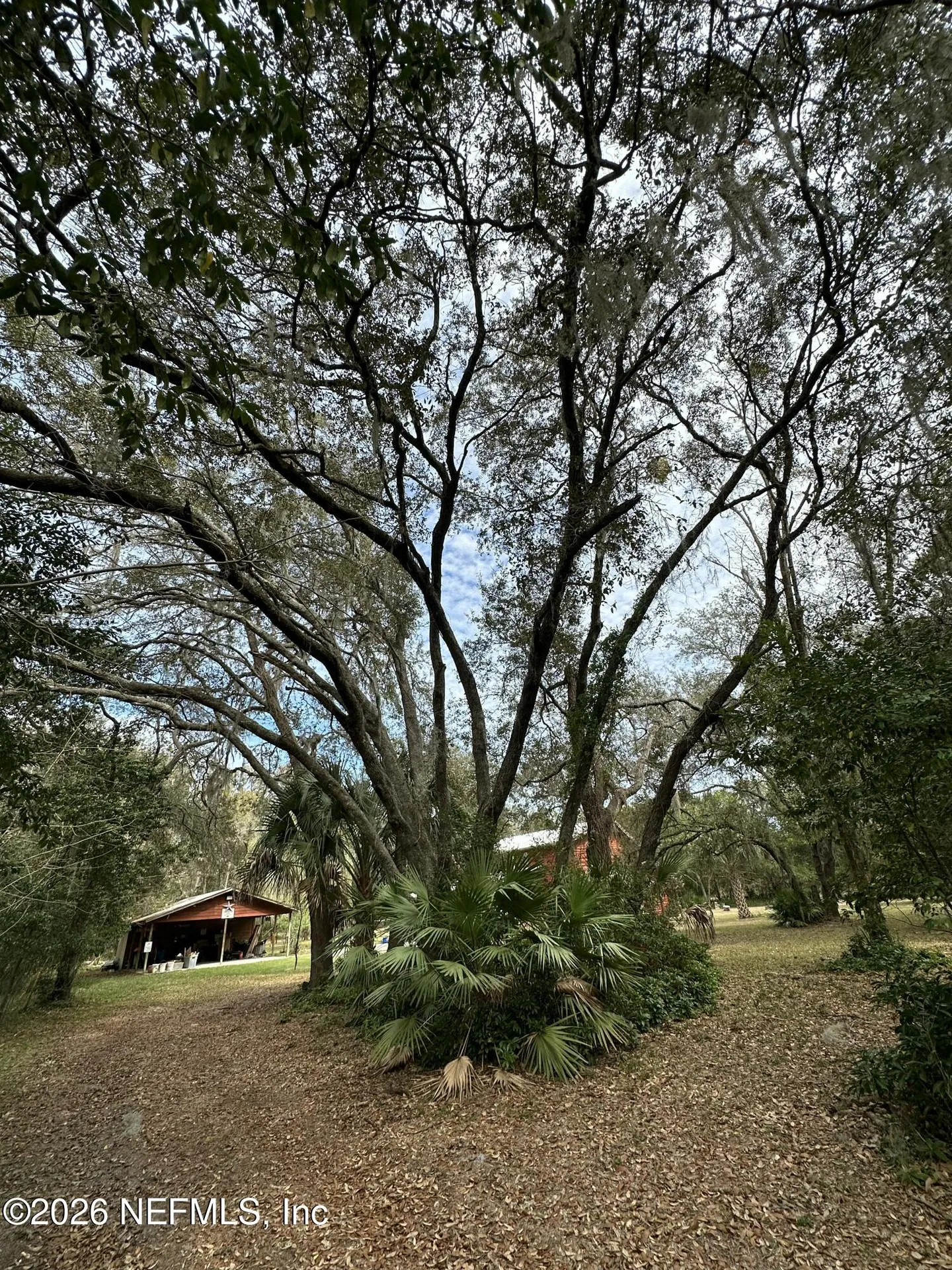 596 Fl-20 Palatka FL 32177