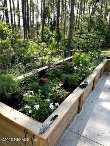 96102 Piney Island Drive Fernandina Beach FL 32034