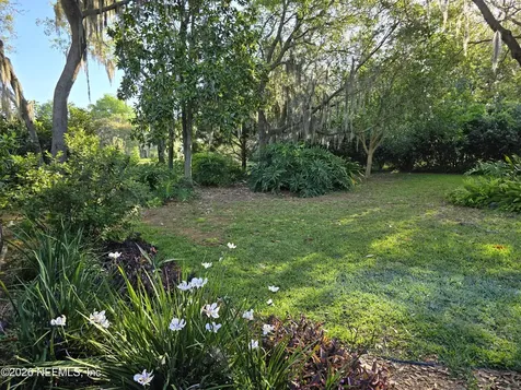 14779 Amelia View Drive Jacksonville FL 32226