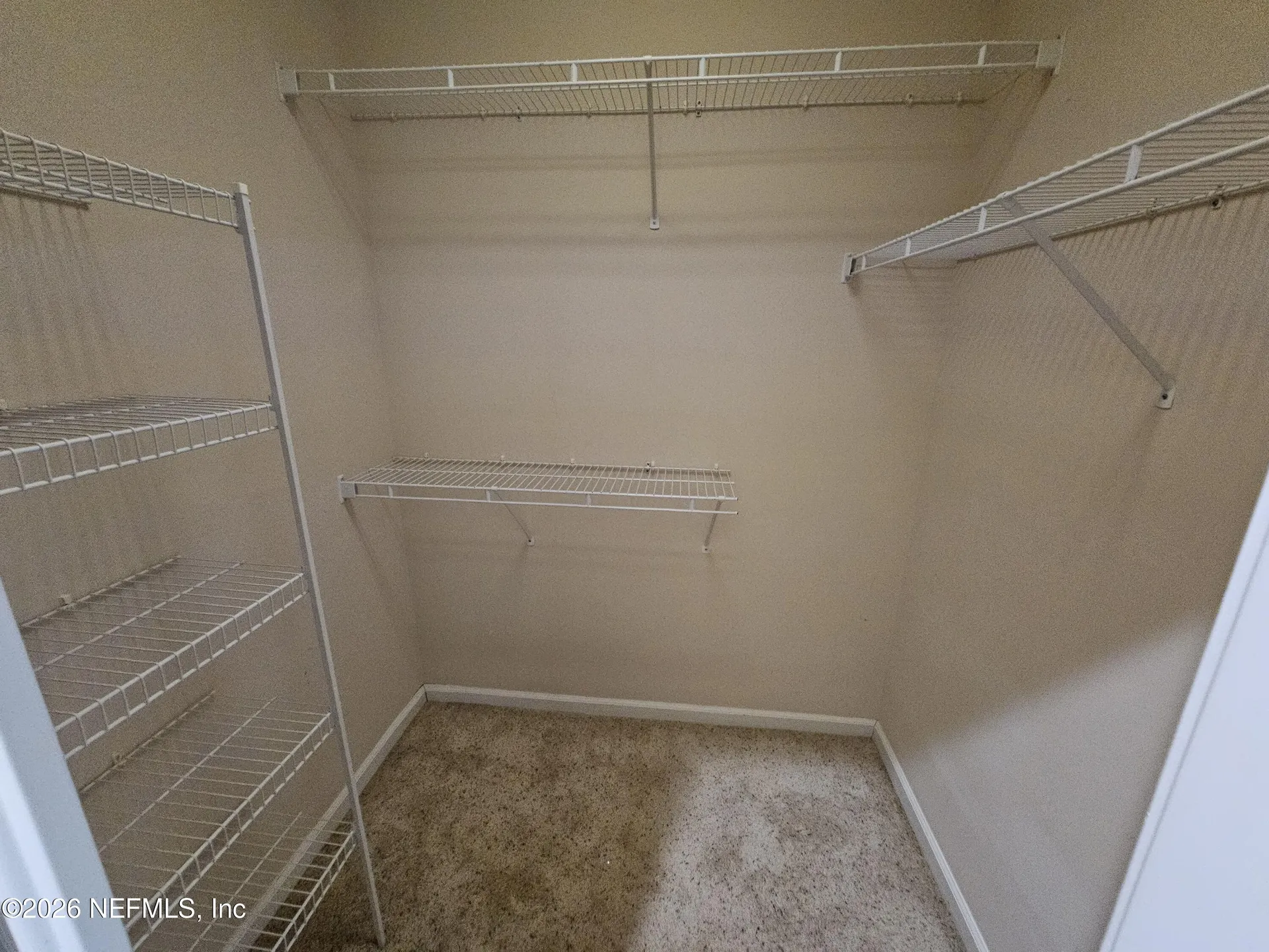 2722 Austin Rose Lane Orange Park FL 32073