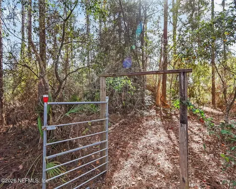 20 N Dolphin Avenue Middleburg FL 32068