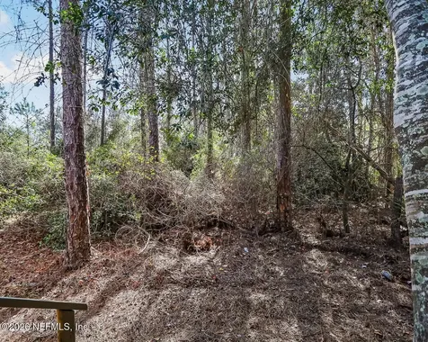 20 N Dolphin Avenue Middleburg FL 32068