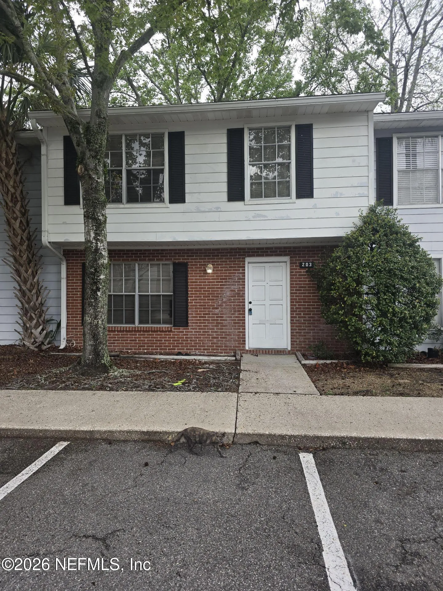 203 Kettering Court Orange Park FL 32073