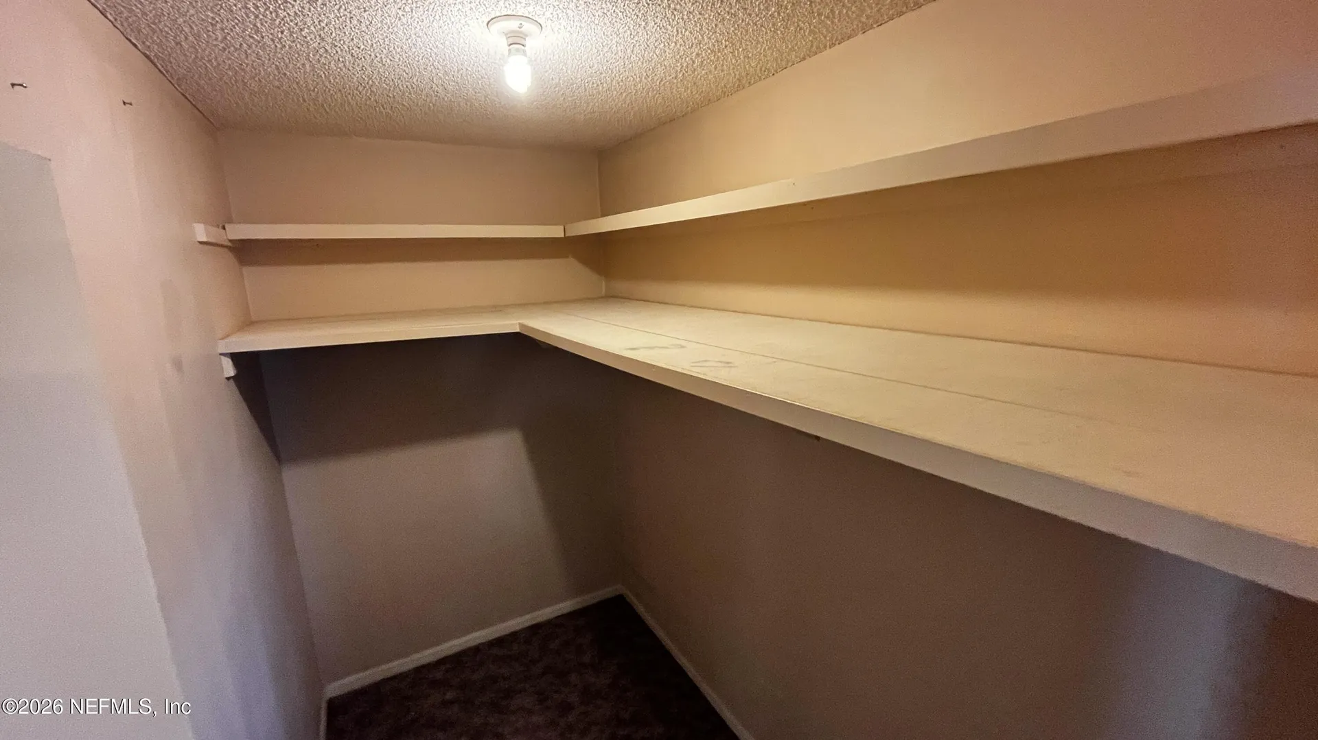 203 Kettering Court Orange Park FL 32073