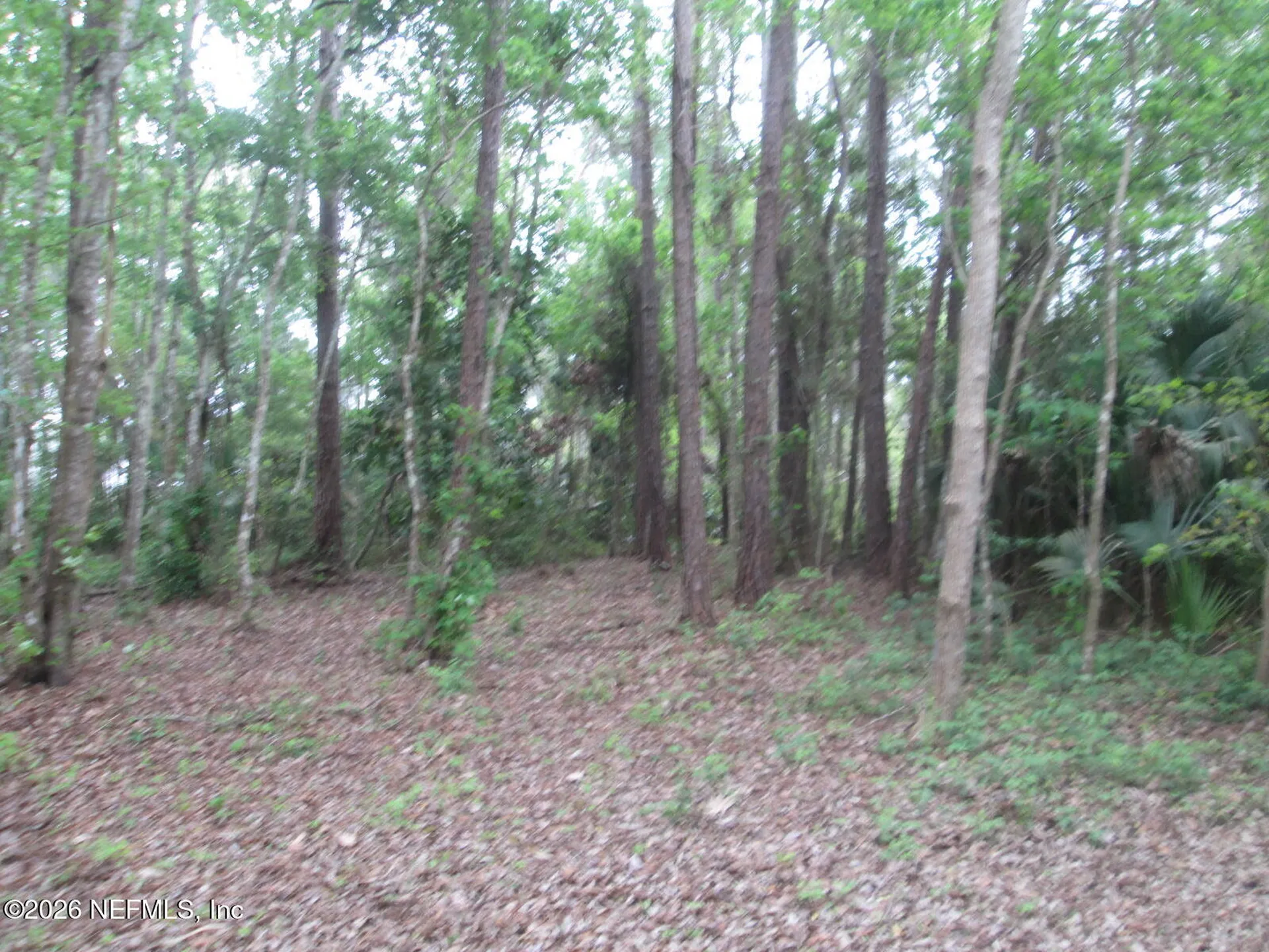 555 State Road 16 St. Augustine FL 32084