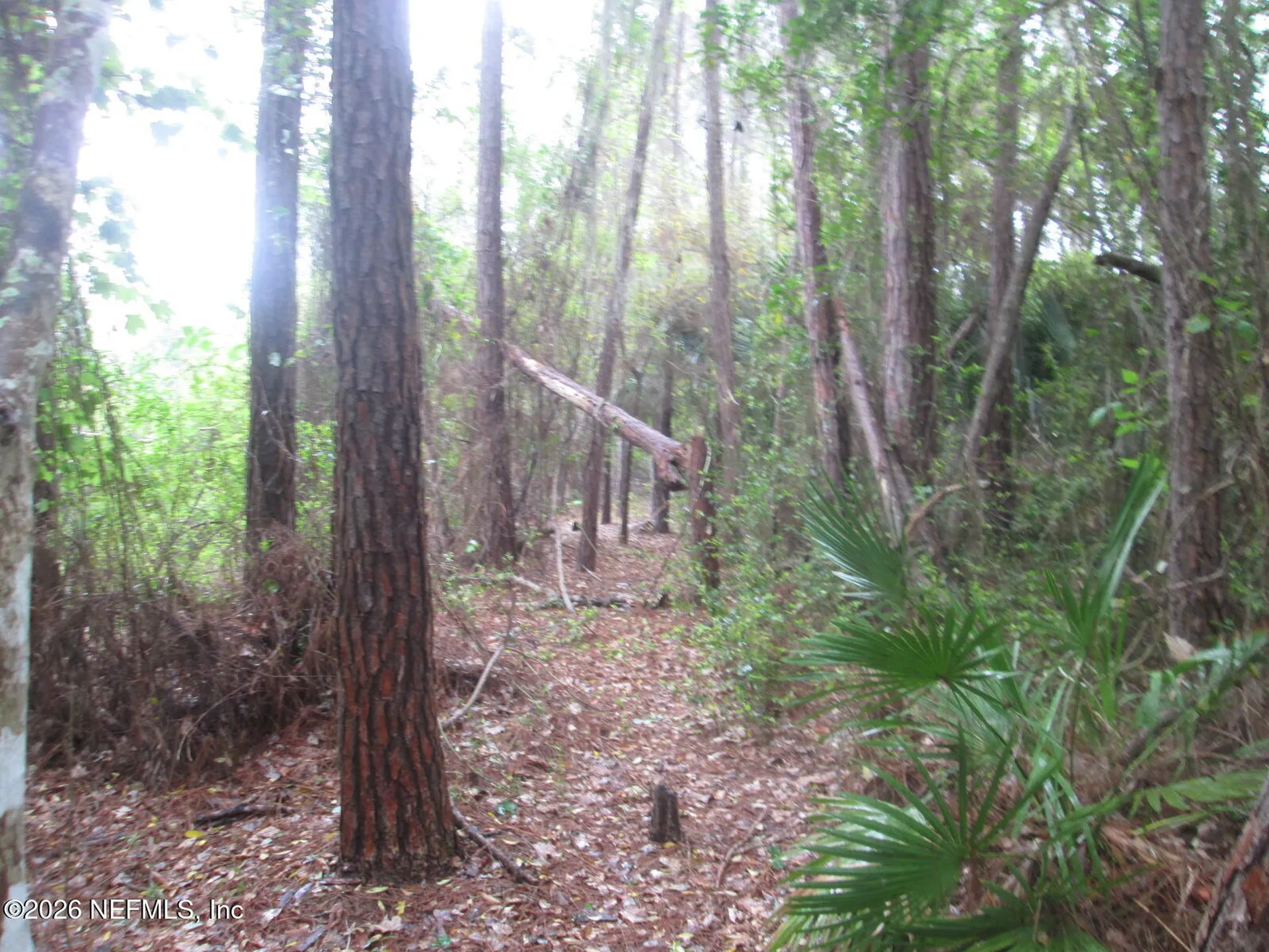 555 State Road 16 St. Augustine FL 32084