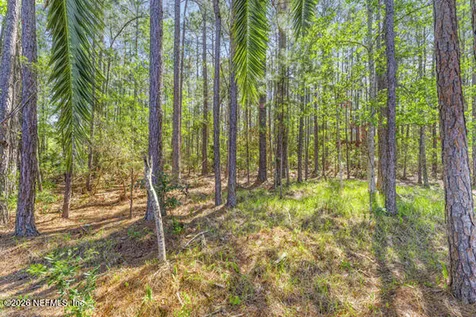 285 Crooked Court St. Johns FL 32259