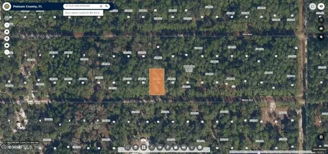 124 Marie Avenue Georgetown FL 32139