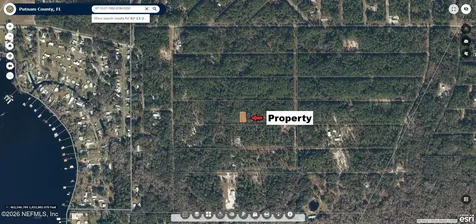 124 Marie Avenue Georgetown FL 32139