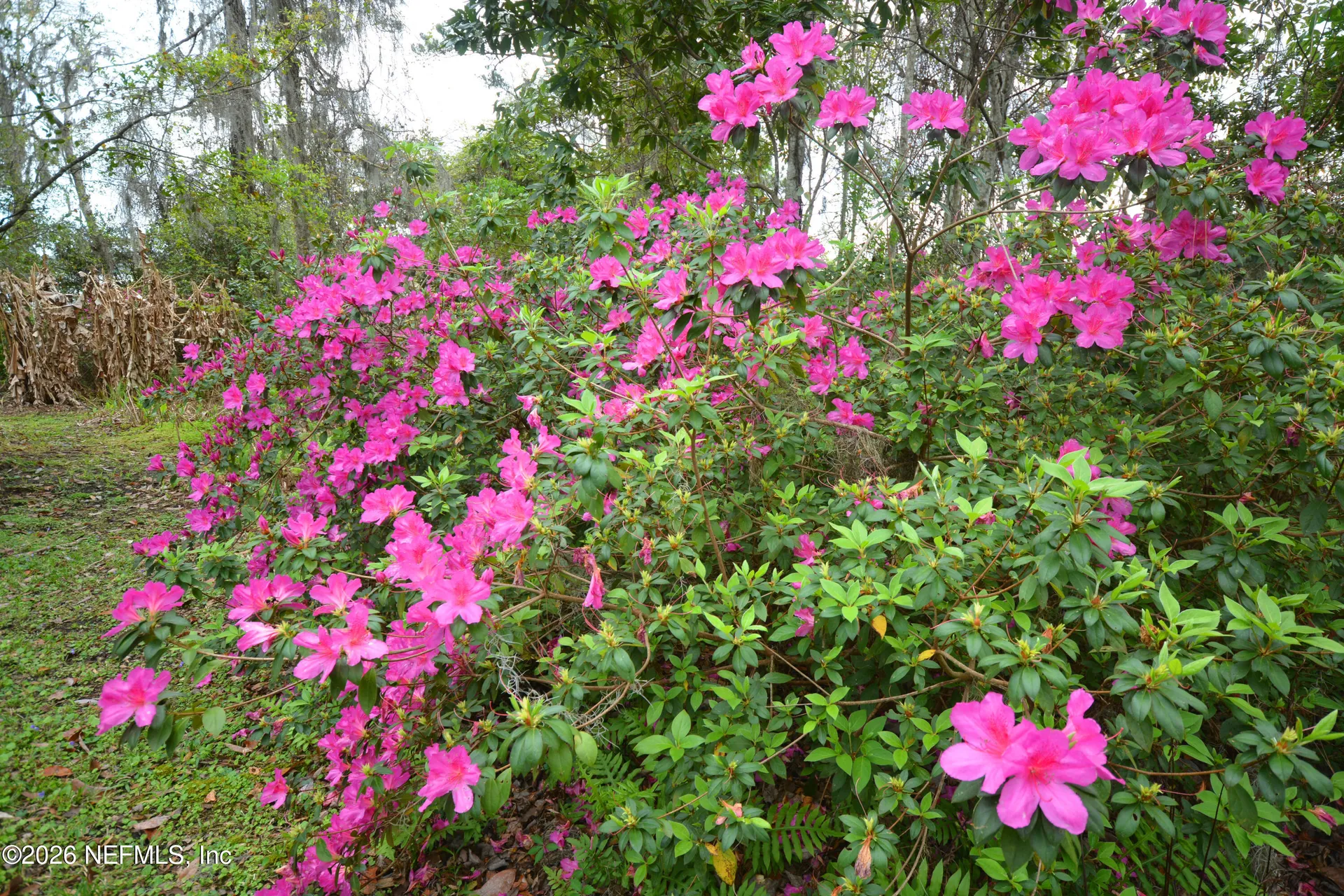 176 Lake Drive Florahome FL 32140