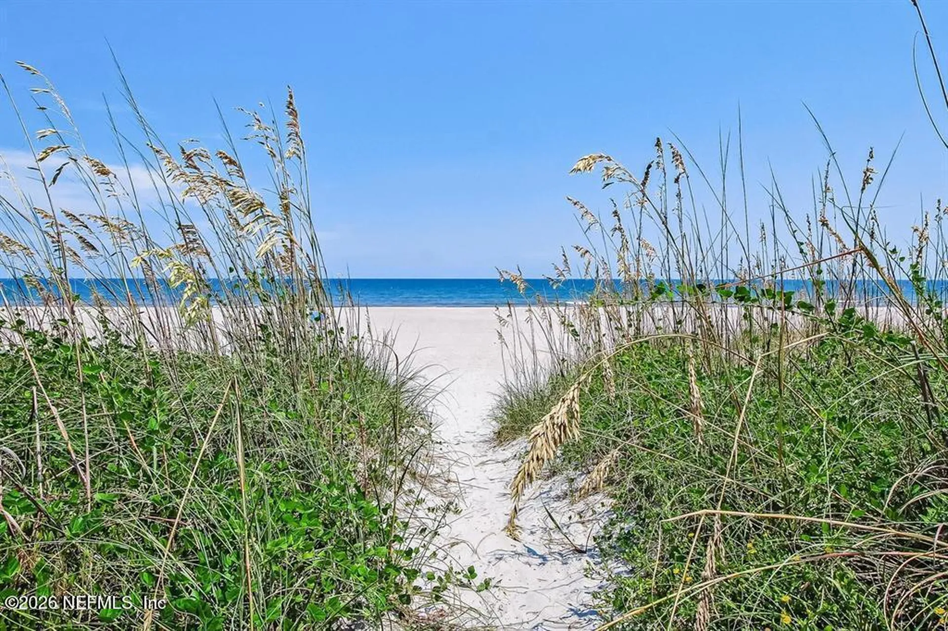 3520 1st Avenue Fernandina Beach FL 32034