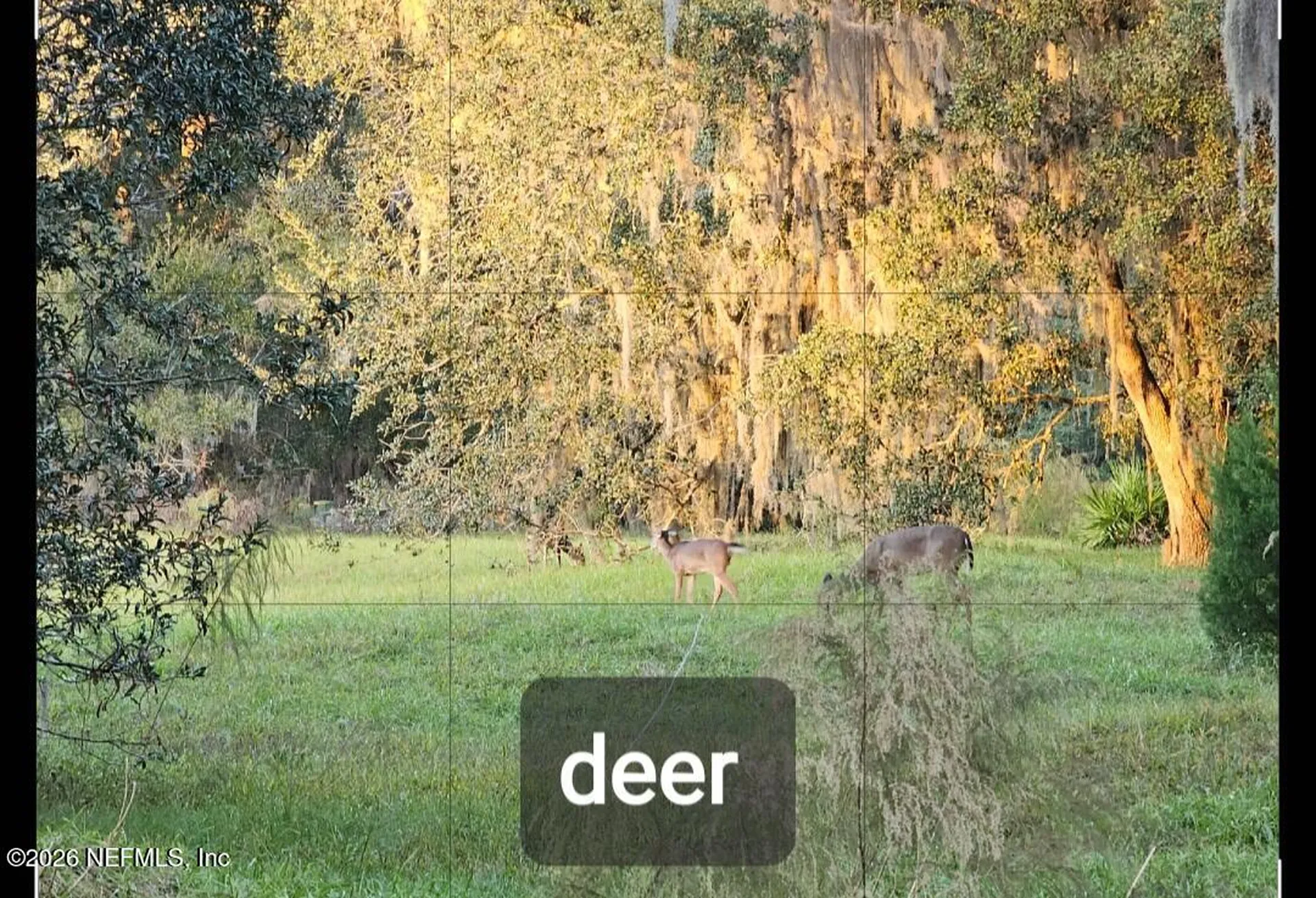 REM3175 Ravines Road Middleburg FL 32068