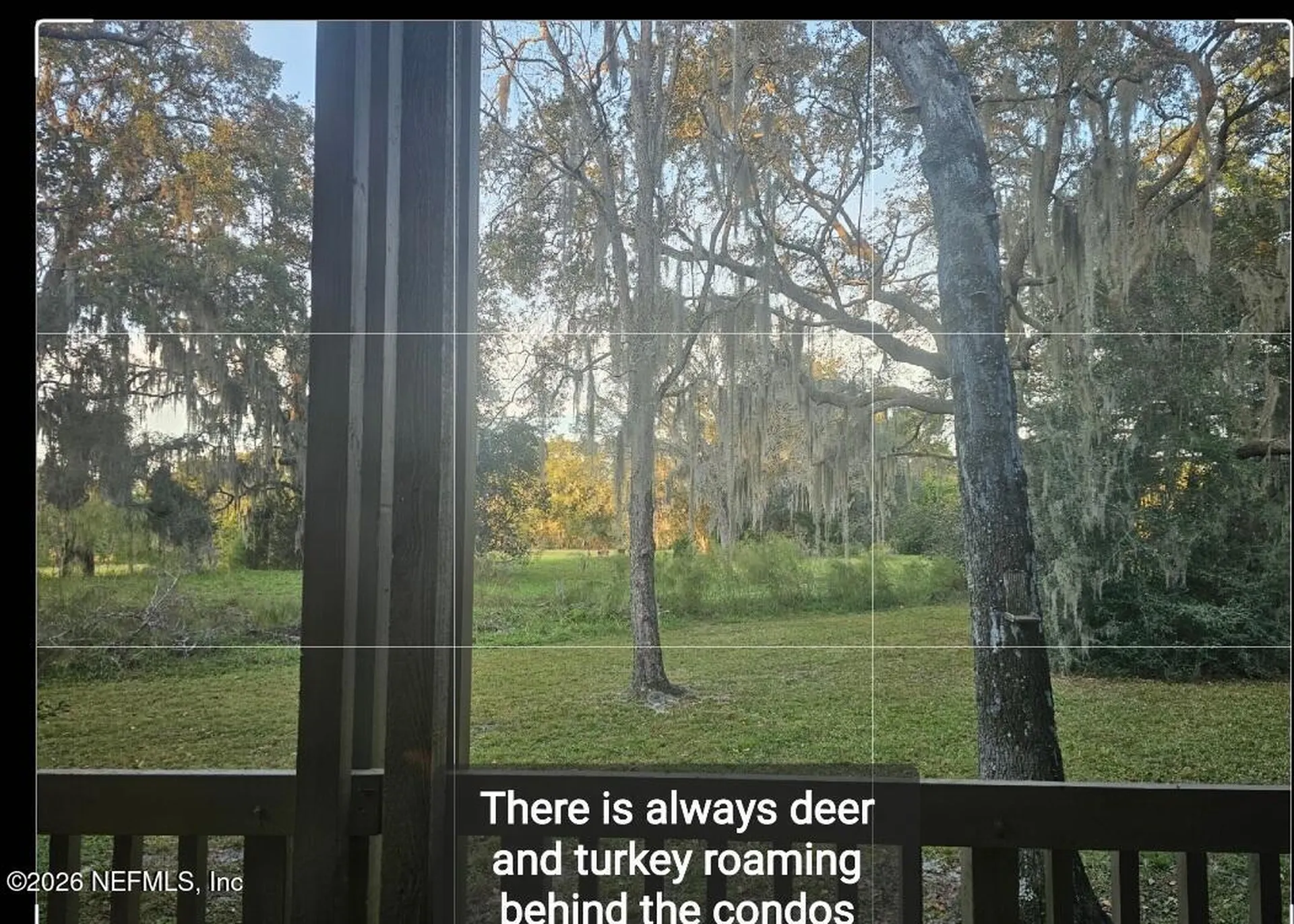 REM3175 Ravines Road Middleburg FL 32068