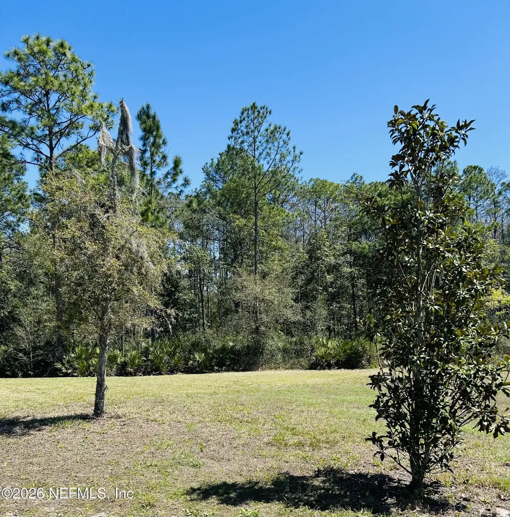 3852 Heatherbrook Place Middleburg FL 32068