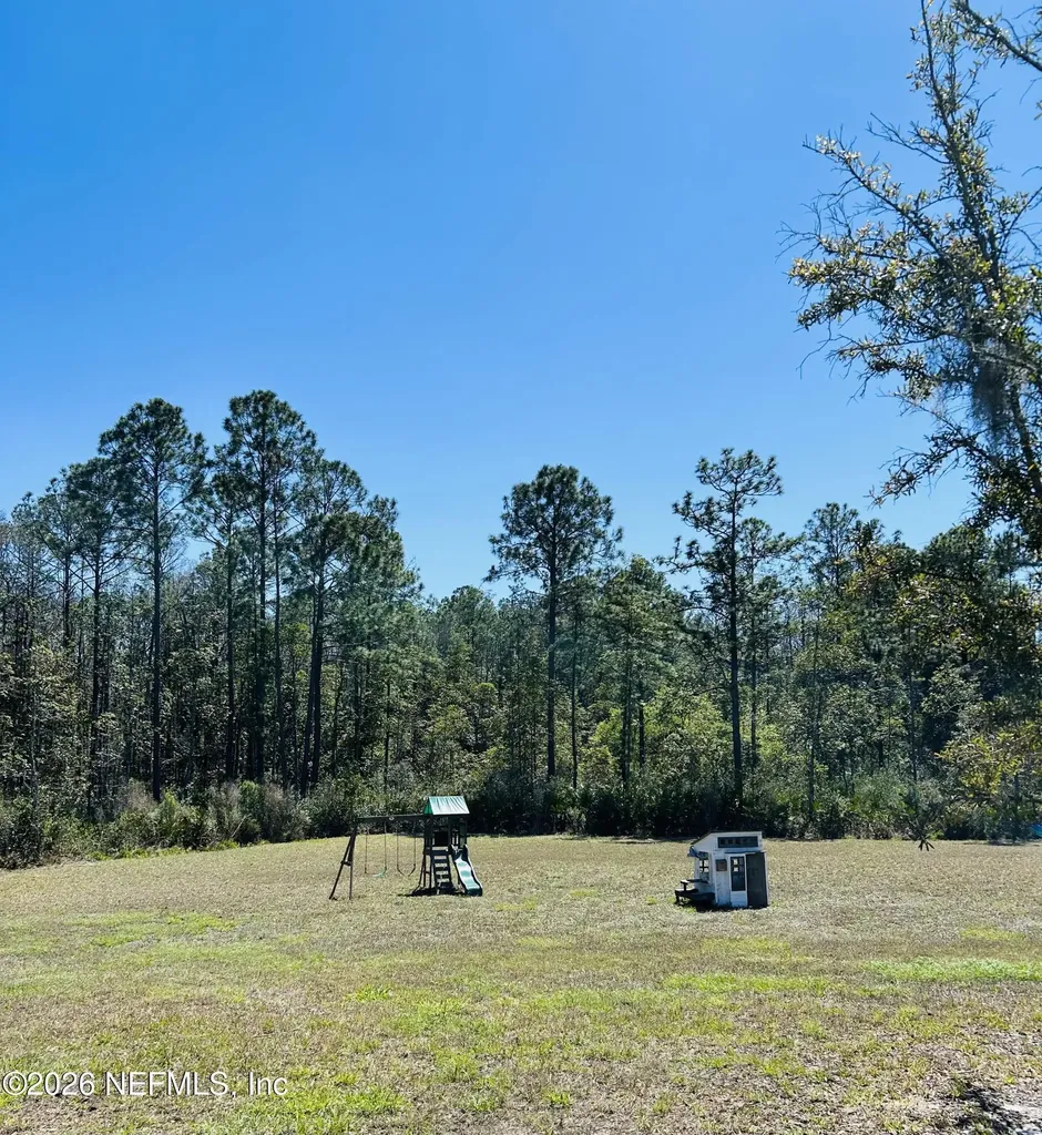3852 Heatherbrook Place Middleburg FL 32068