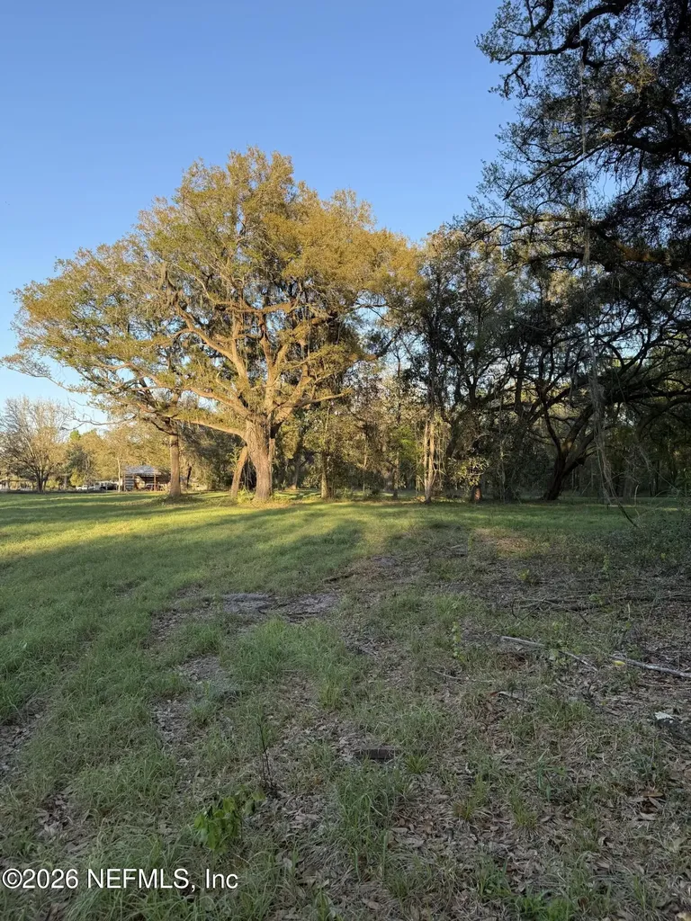 0 Walker Drive Interlachen FL 32148