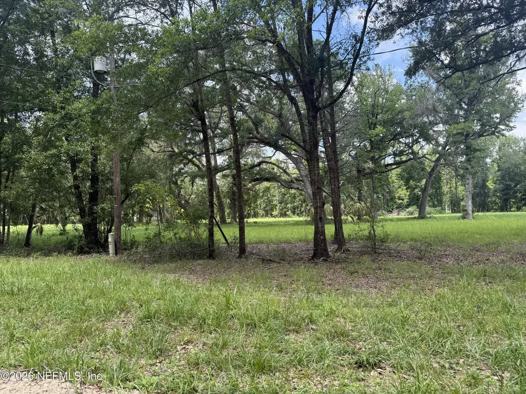 0 Walker Drive Interlachen FL 32148