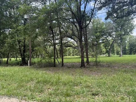 0 Walker Drive Interlachen FL 32148